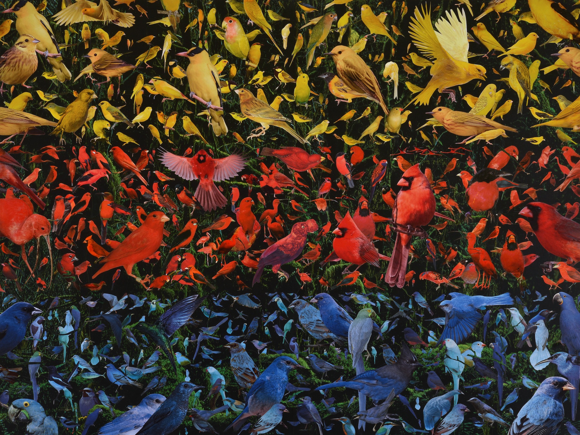 'Summer', 120 x 90 cm. Collage/mixed media. 2021. Collection artist